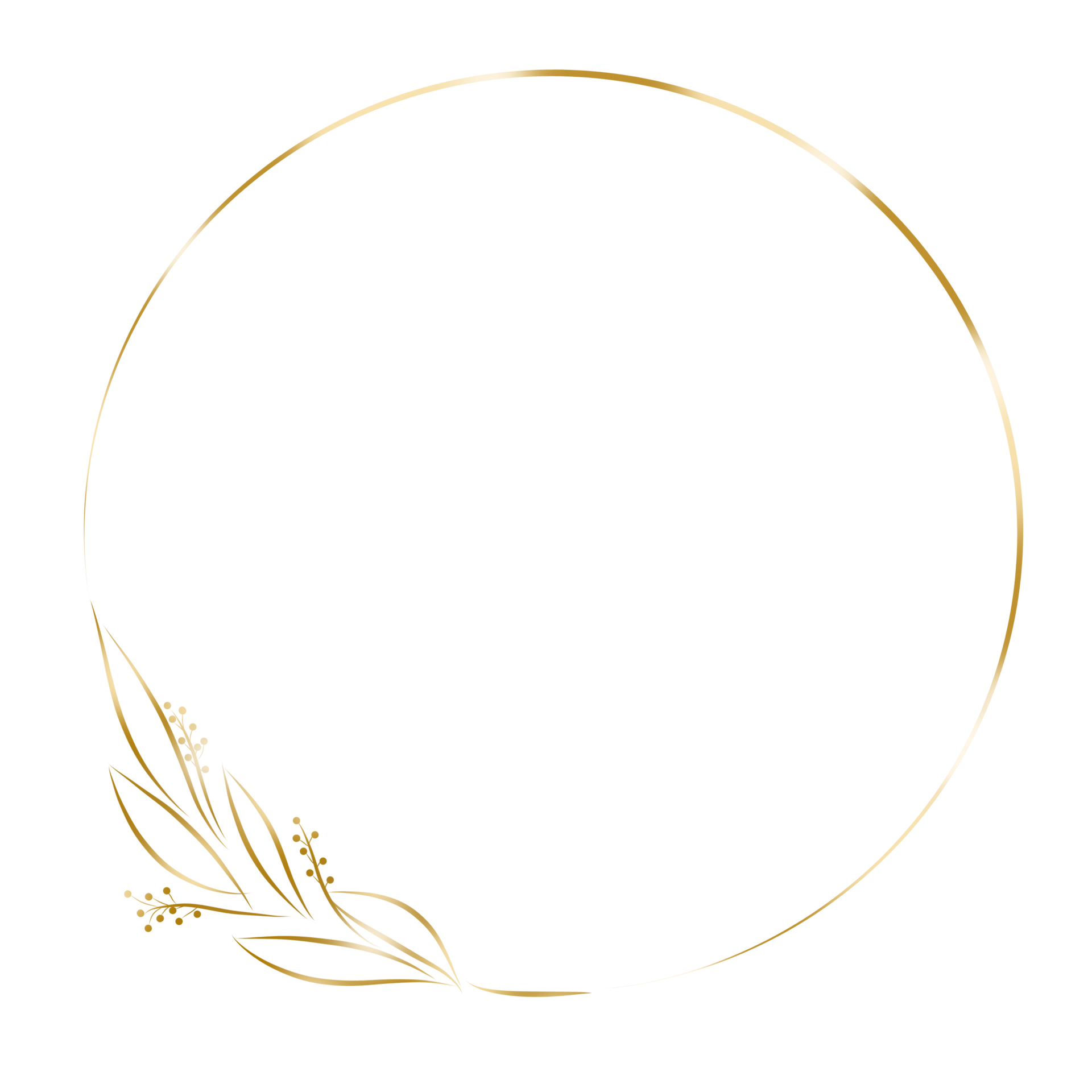 Decorative Golden Circle Frame 28014498 PNG