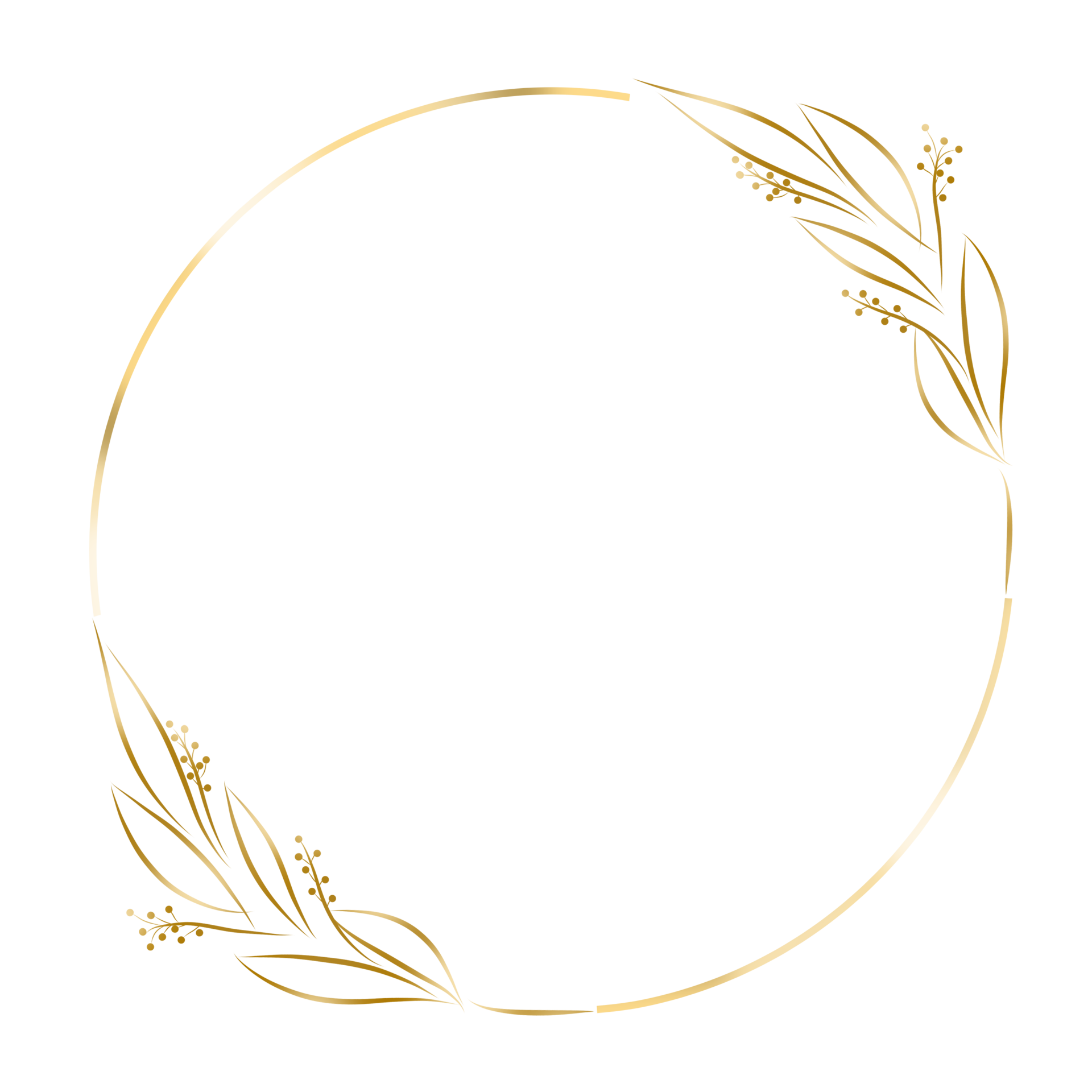 Decorative Golden Circle Frame 28014499 PNG