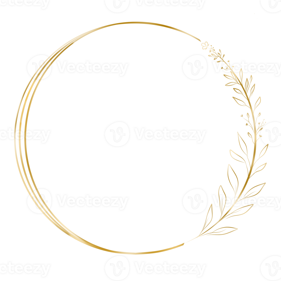 Decorative Golden Circle Frame png
