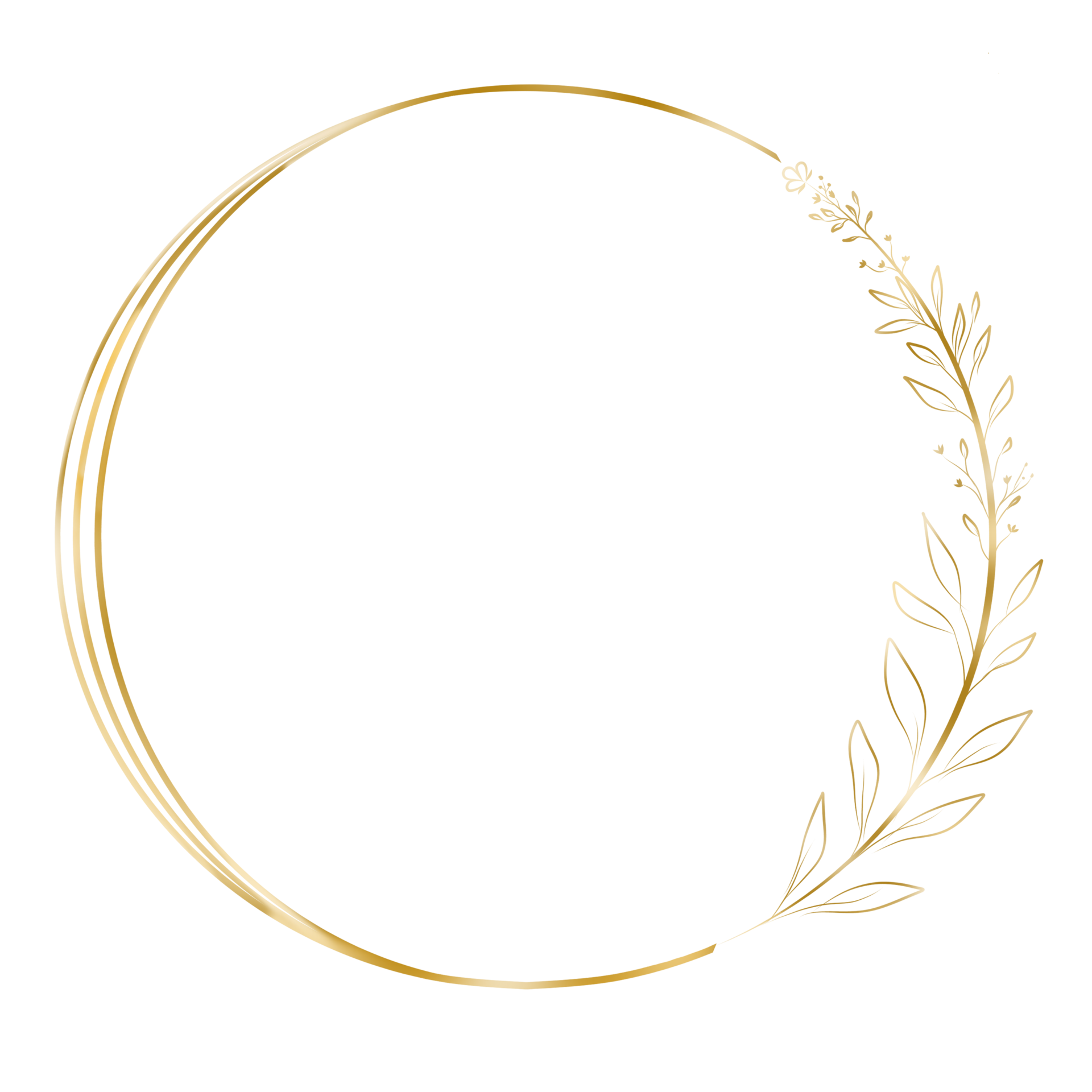 Decorative Golden Circle Frame 28014509 PNG