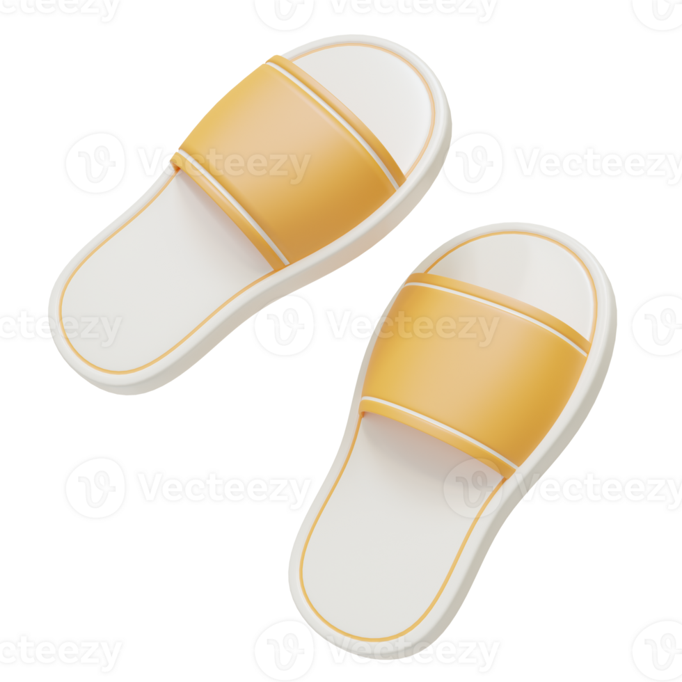 sandals for travel tools 3d illustration png