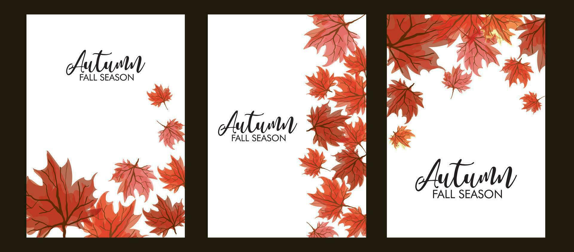 Set of autumn frame banner with falling maple leaves vector