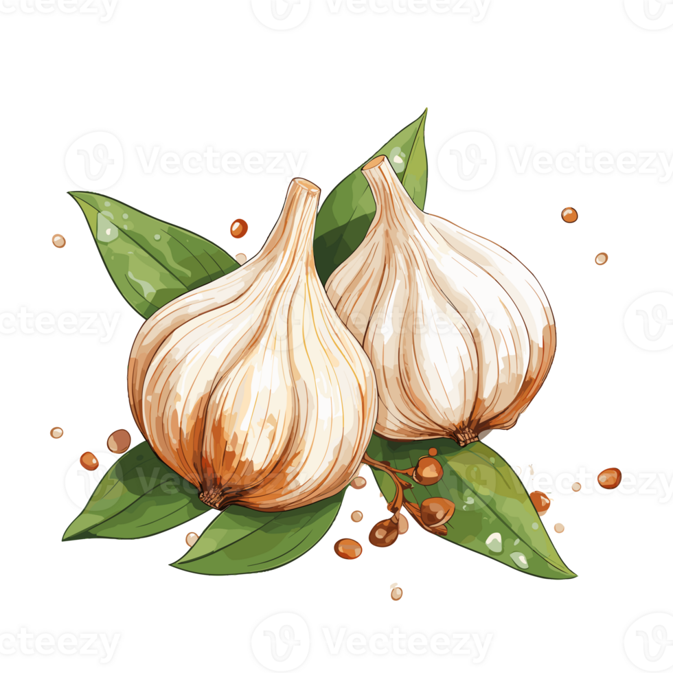 Garlic watercolor illustration, Vegetable isolated on transparent background, AI Generative png