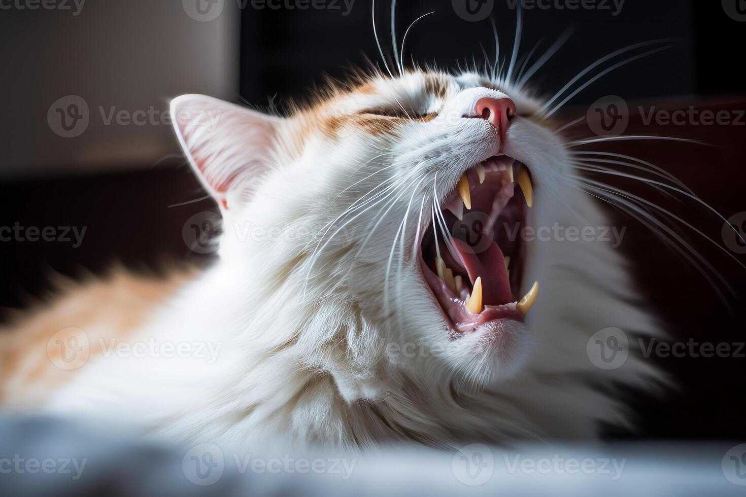 a close up of a cat yawning with its mouth open generative AI 28020681 Stock Photo at Vecteezy