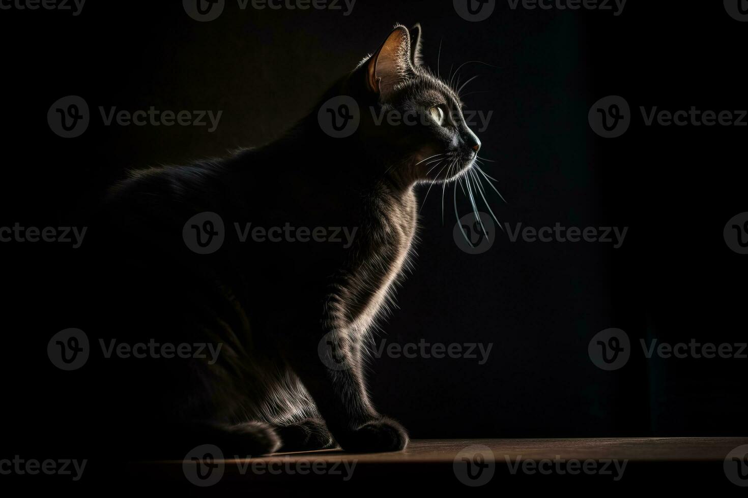 a black cat sitting on a table in the dark generative AI photo