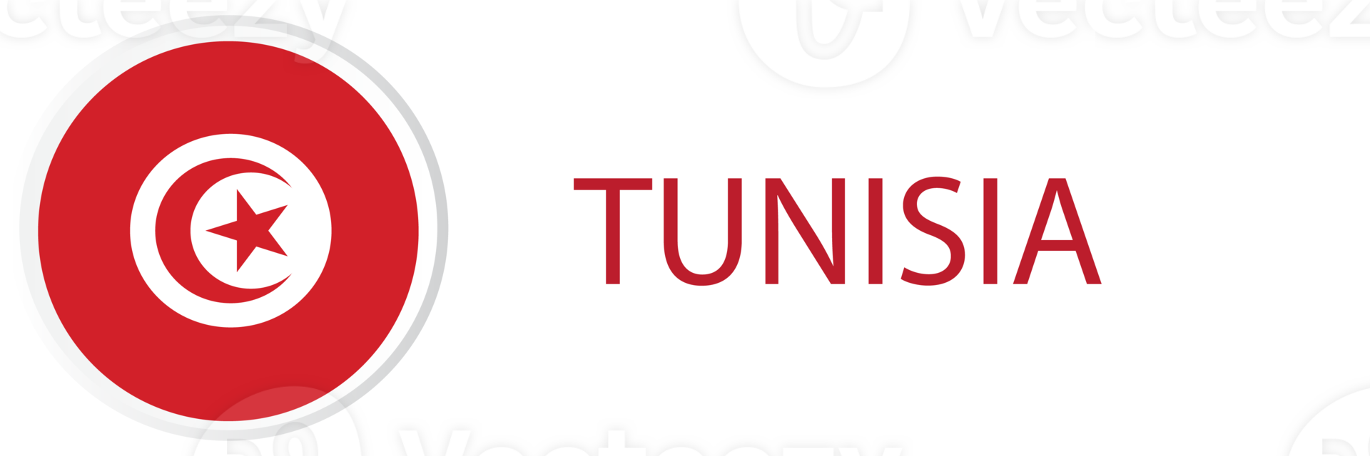 Tunisia flag in button web. png