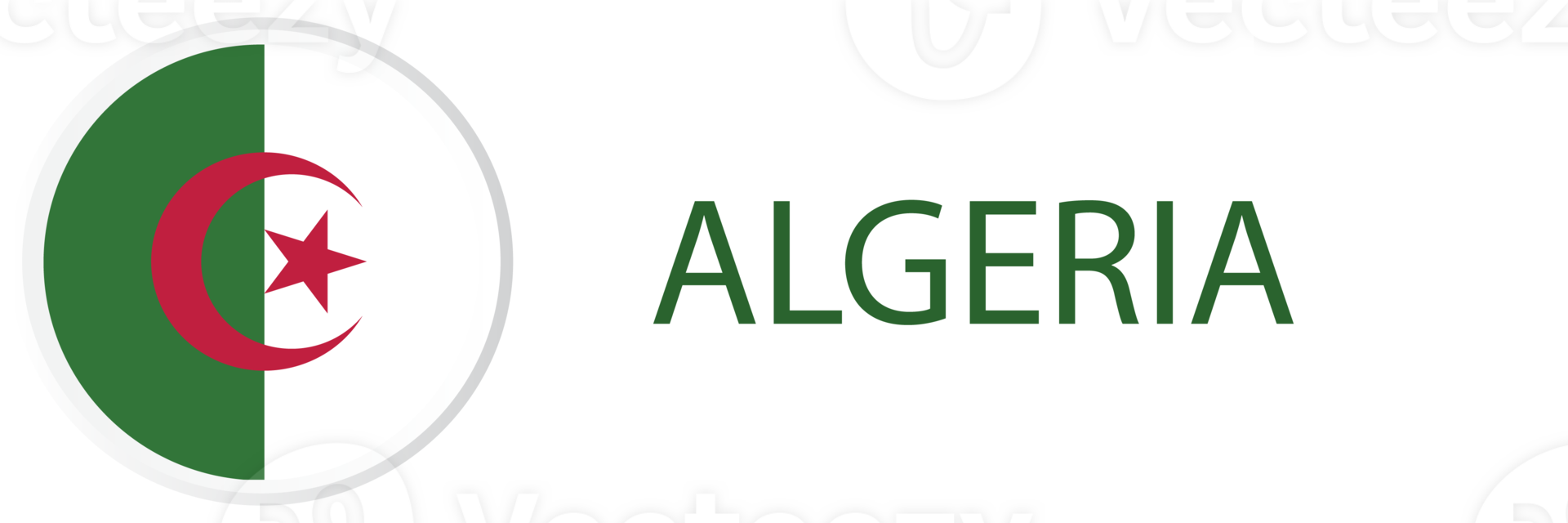Algeria flag in button web. png