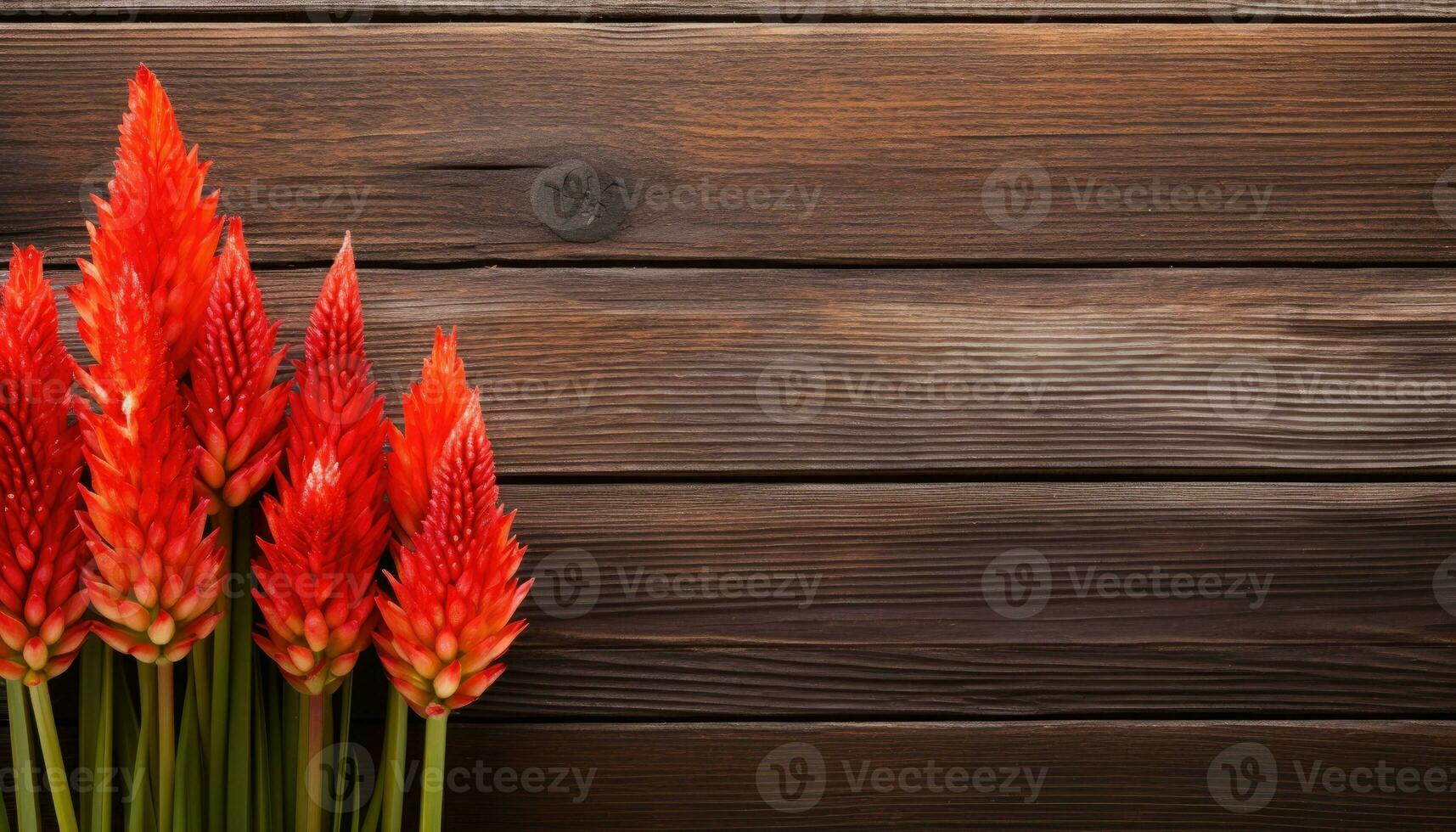 Red cockscomb flowers on brown wooden table. Top view with copy space photo