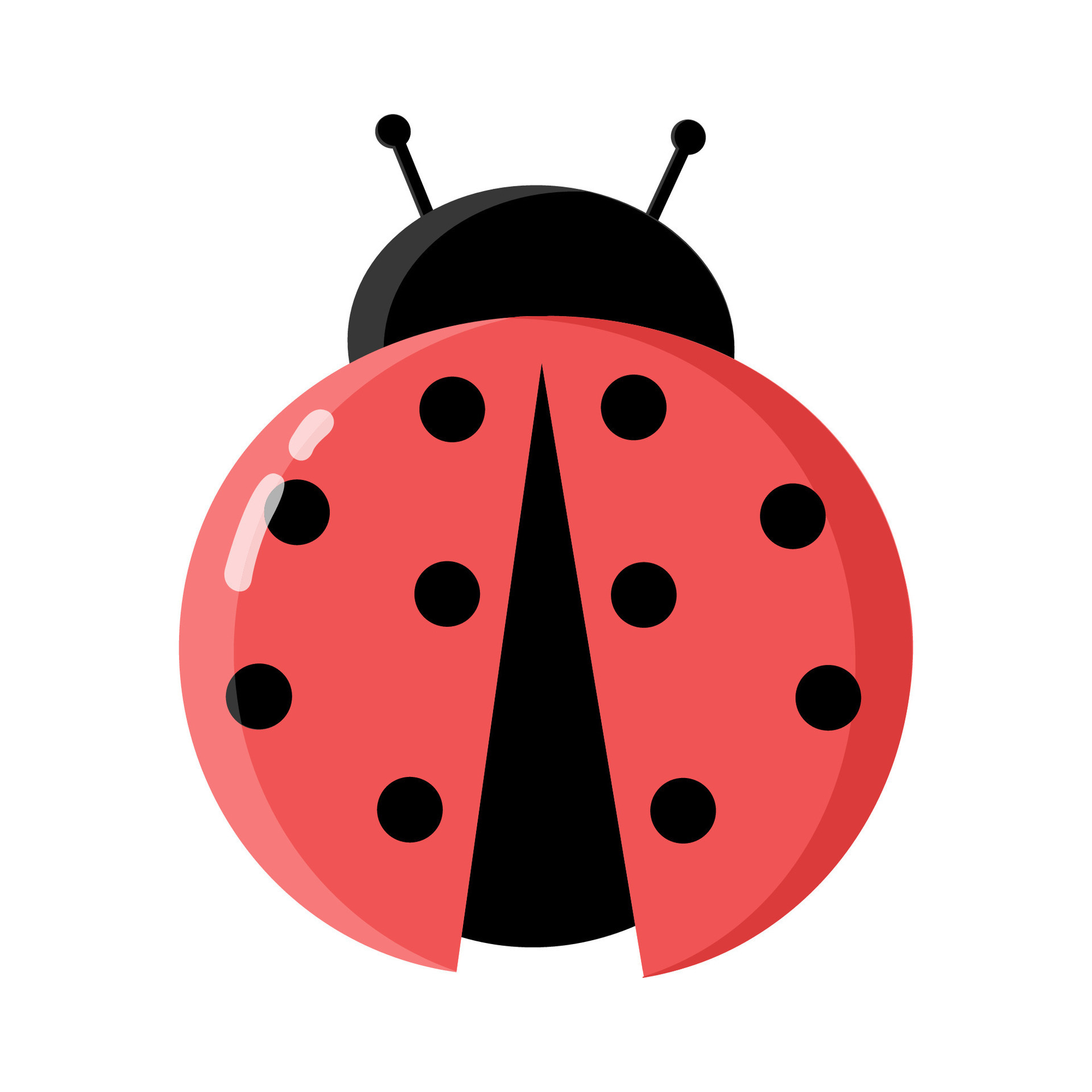 Ladybug Decorative Transparent Image​