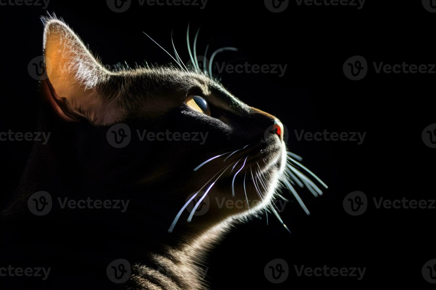 a cat is silhouetted against a black background generative AI photo