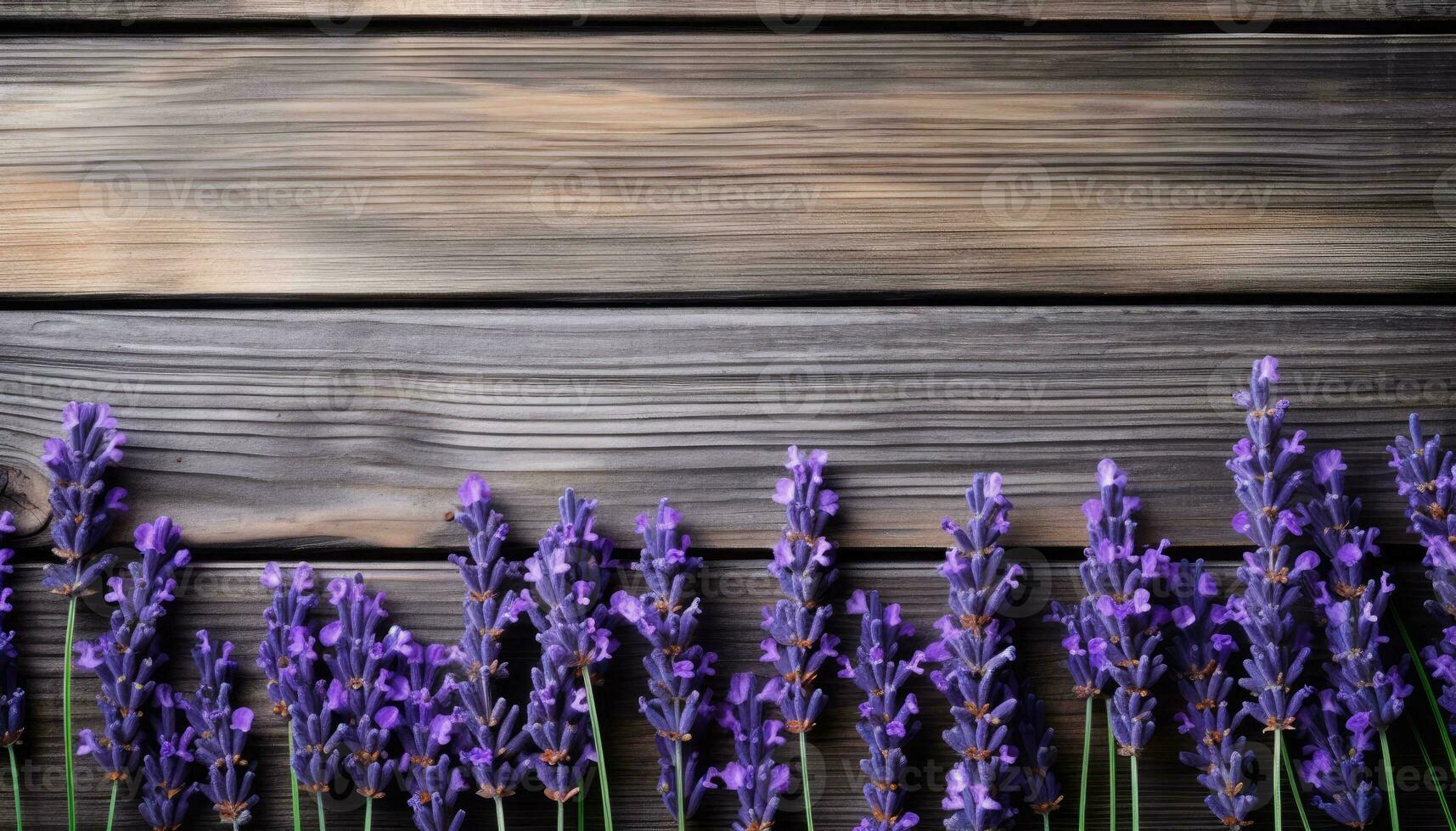 Bunch of lavender flowers on wooden background. Top view. photo