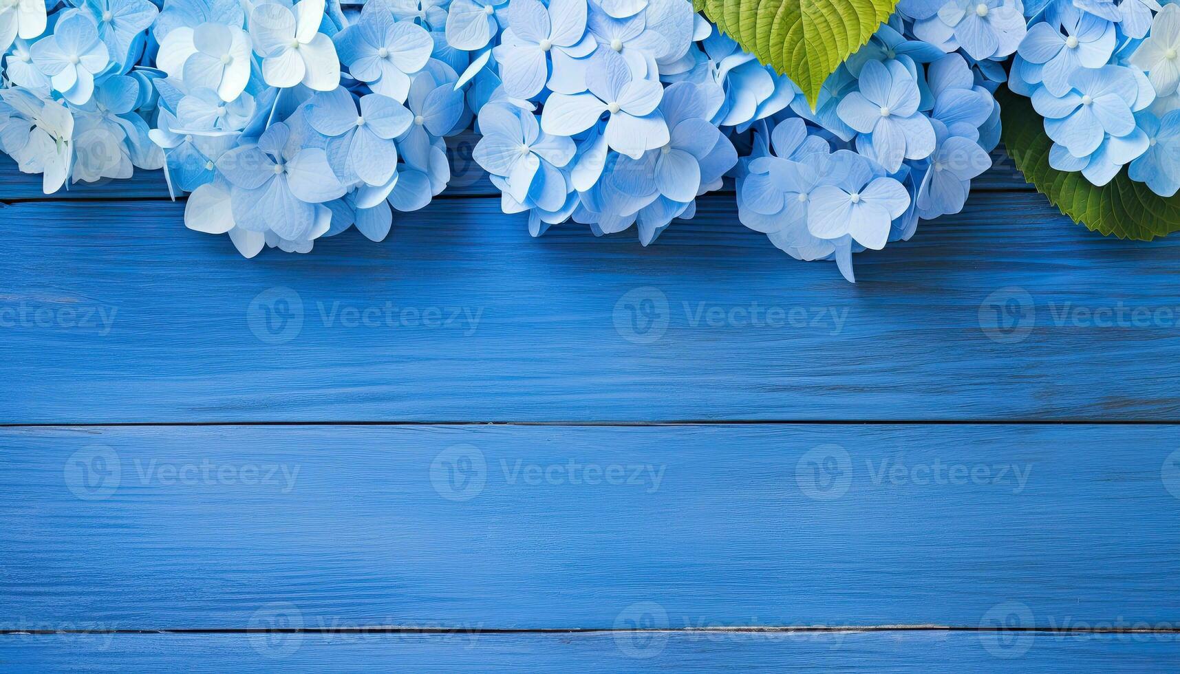 Blue hydrangea flowers on blue wooden background, copy space photo