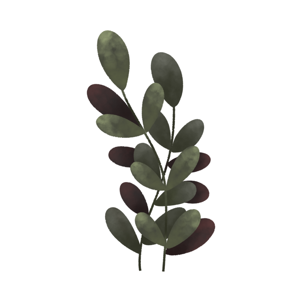 Simple flower illustration png