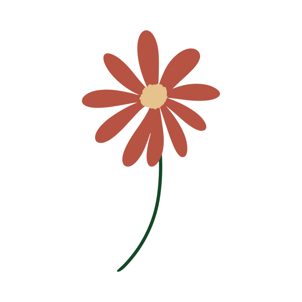 Simple flower illustration png