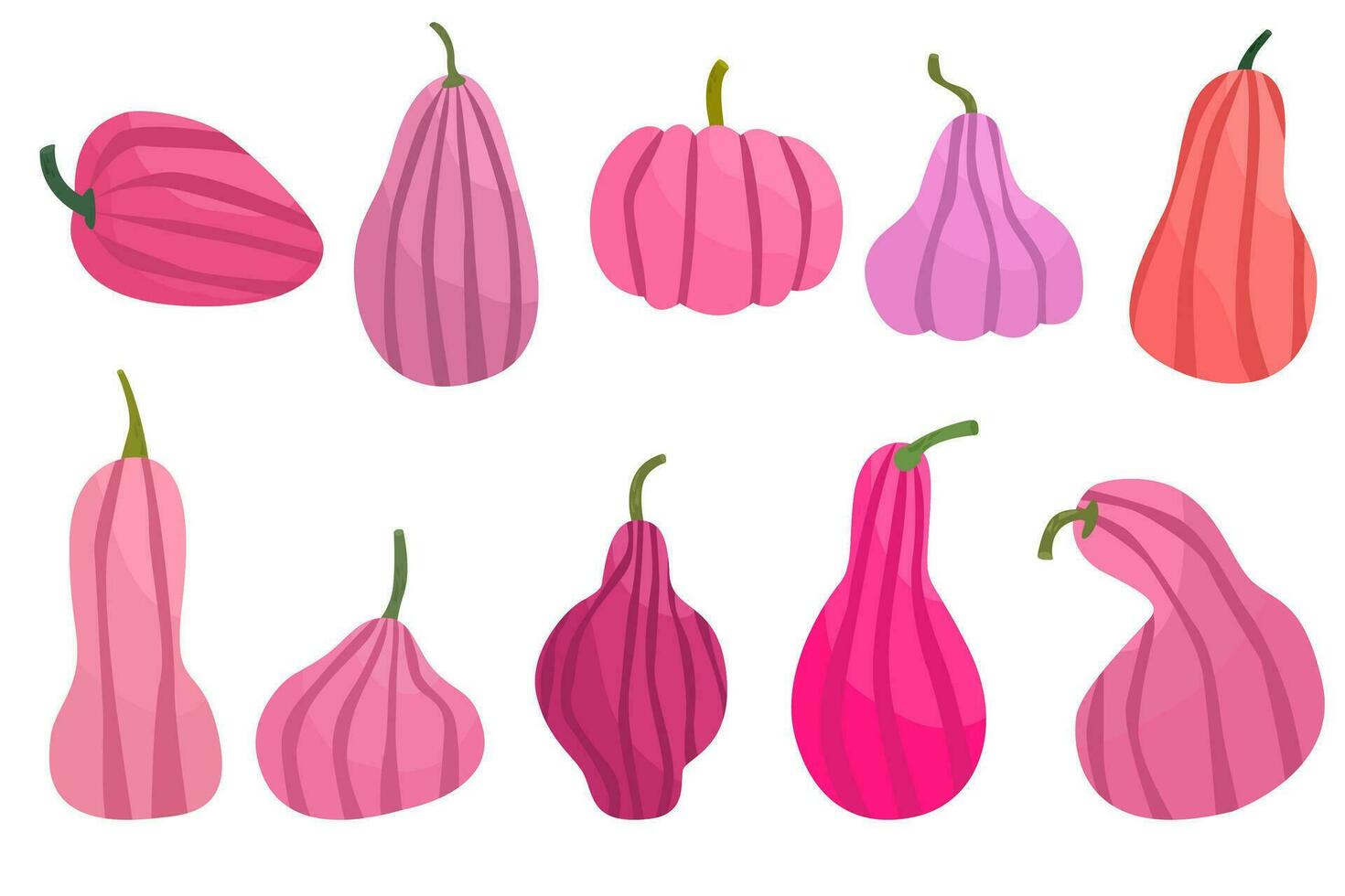 Set of pink pumpkins. Pumpkin of different shapes and colors. Thanksgiving design. Autumn pumpkin vector