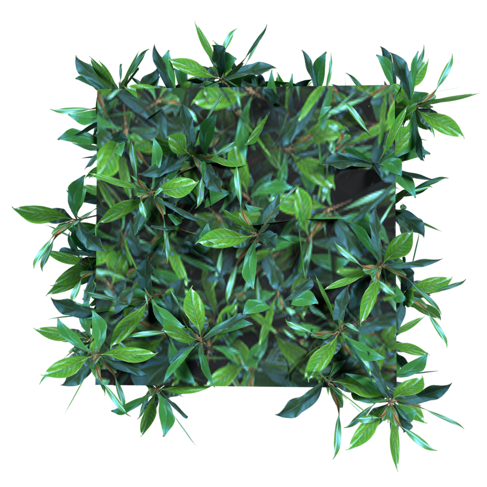 Small hedge 3d rendering png