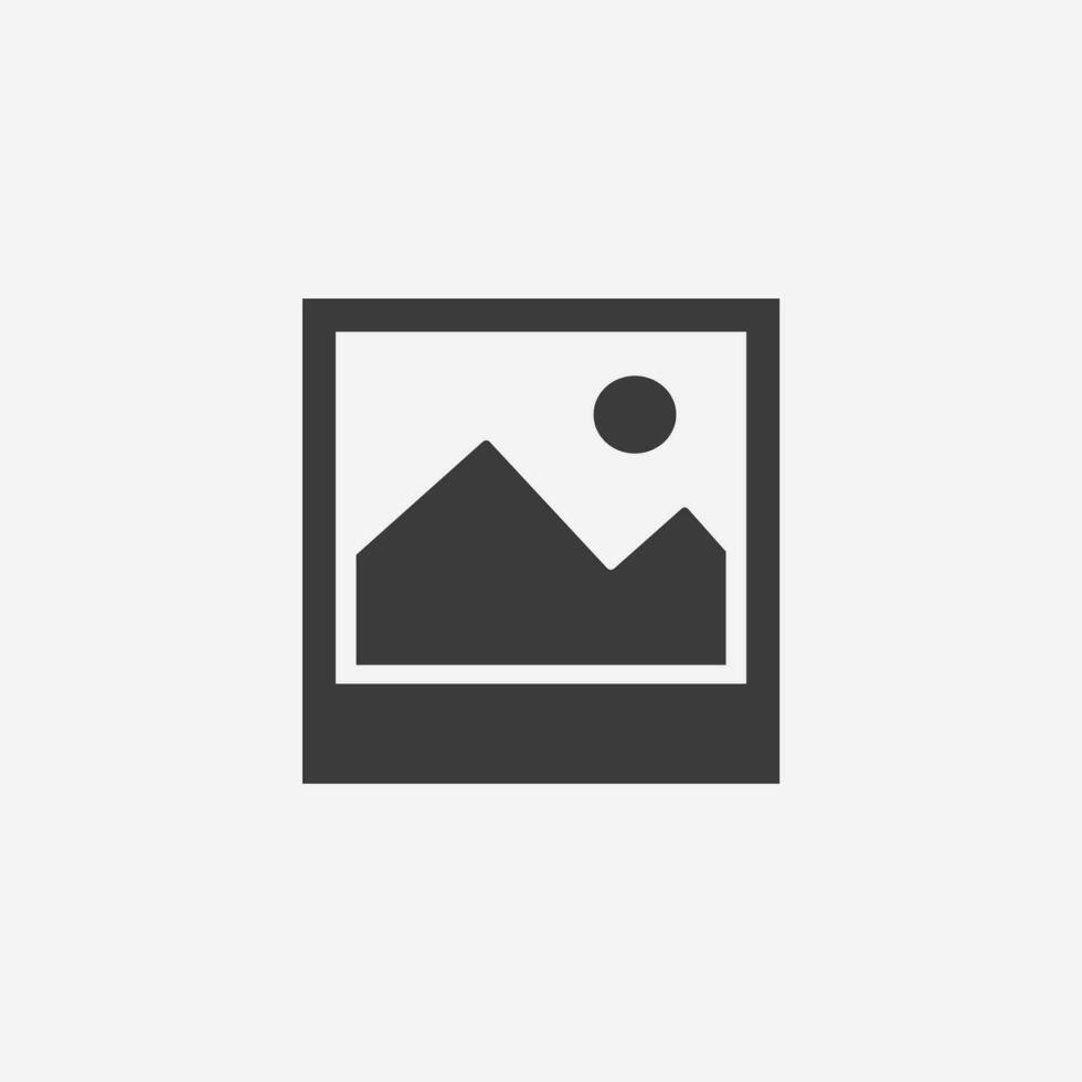 image icon vector isolated. portrait, photo, picture, gallery symbol sign