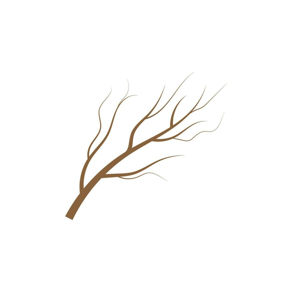 estético árbol rama siluetas hojas, remolinos y floral elementos vector ilustración.