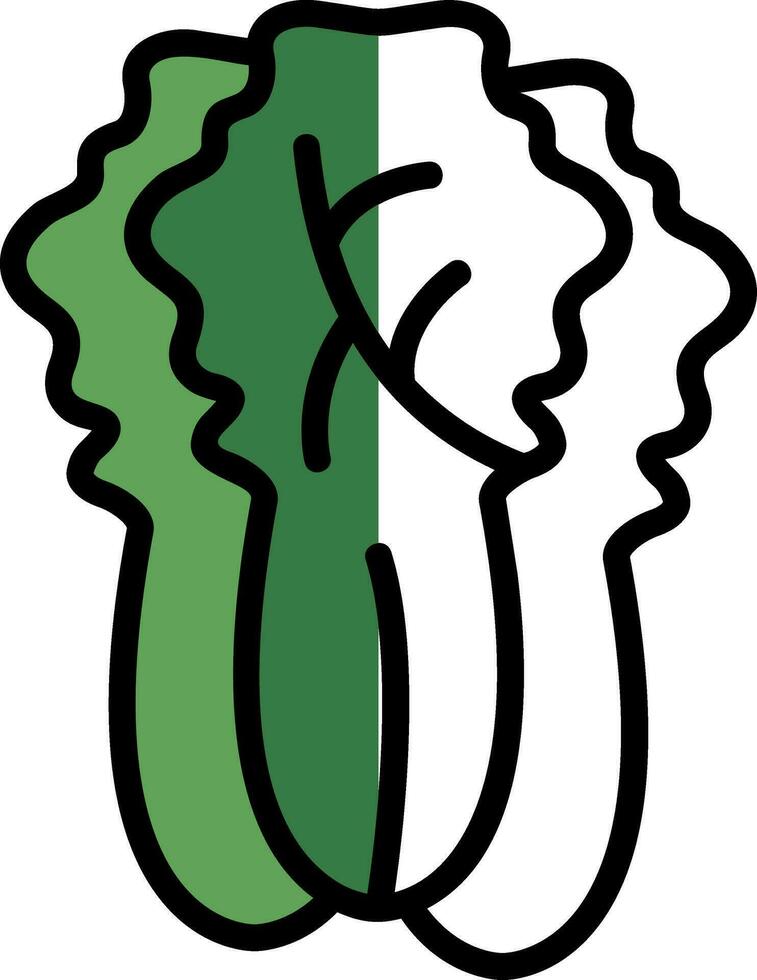 Napa Cabbage Vector Icon Design