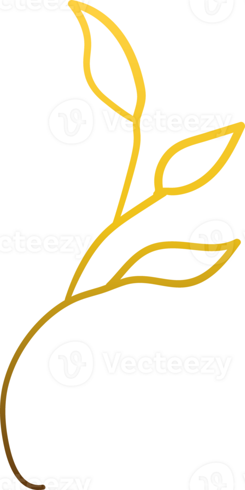 luxury gold floraldecoration png
