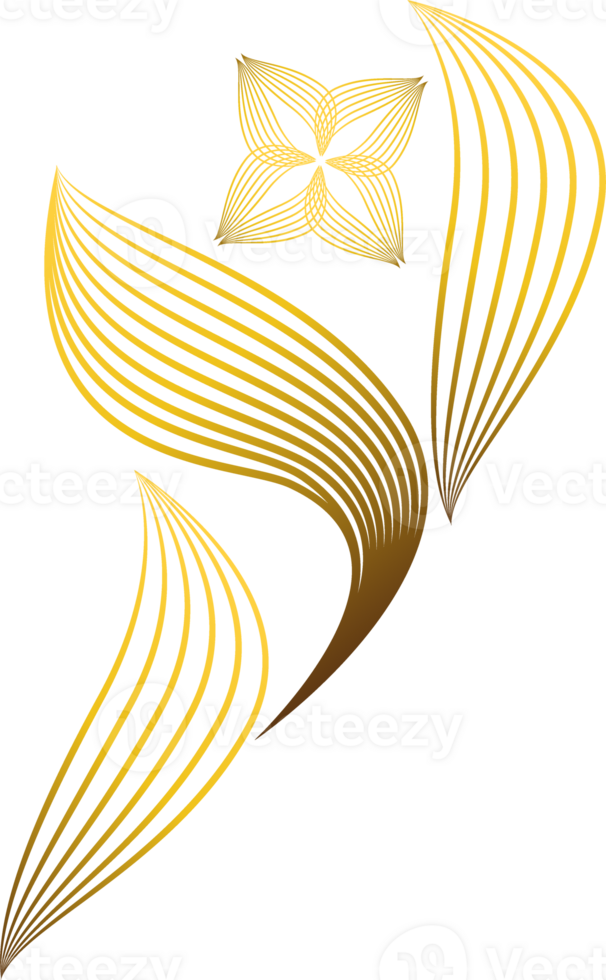 golden floral ornament png