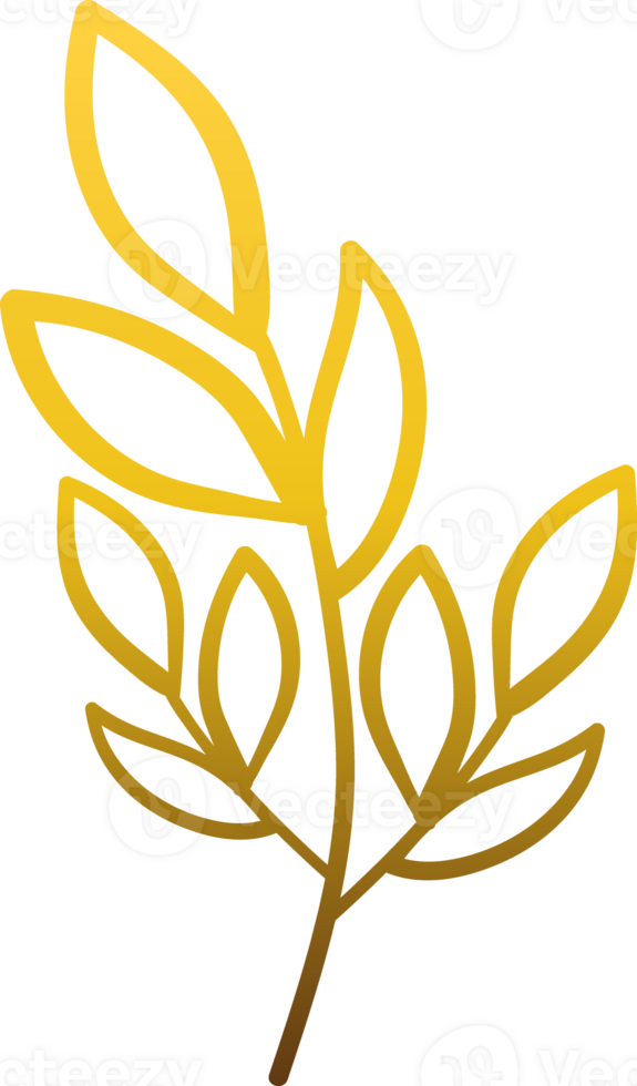 luxury gold floraldecoration png