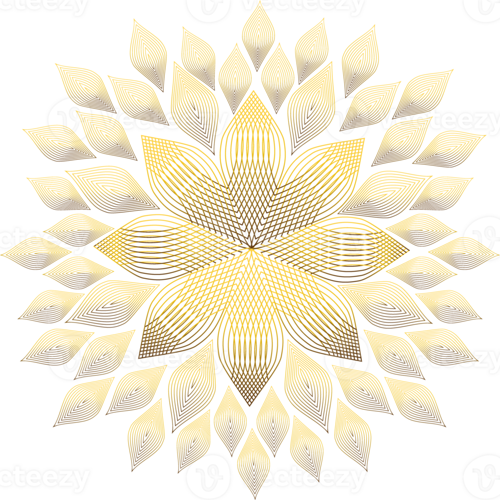 golden floral ornament png