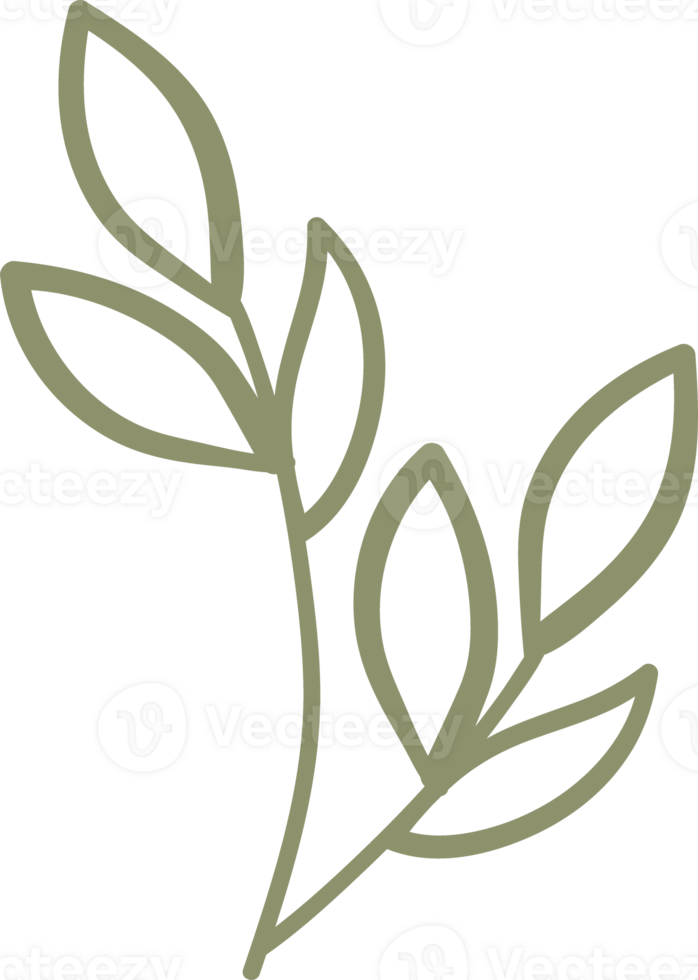 natural floral doodle ornament png