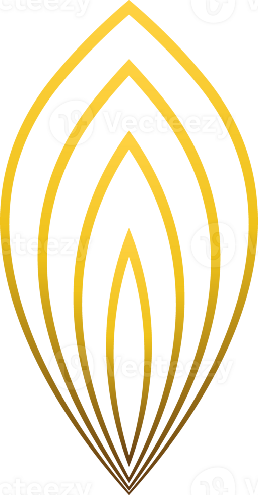 gold floral decoration png
