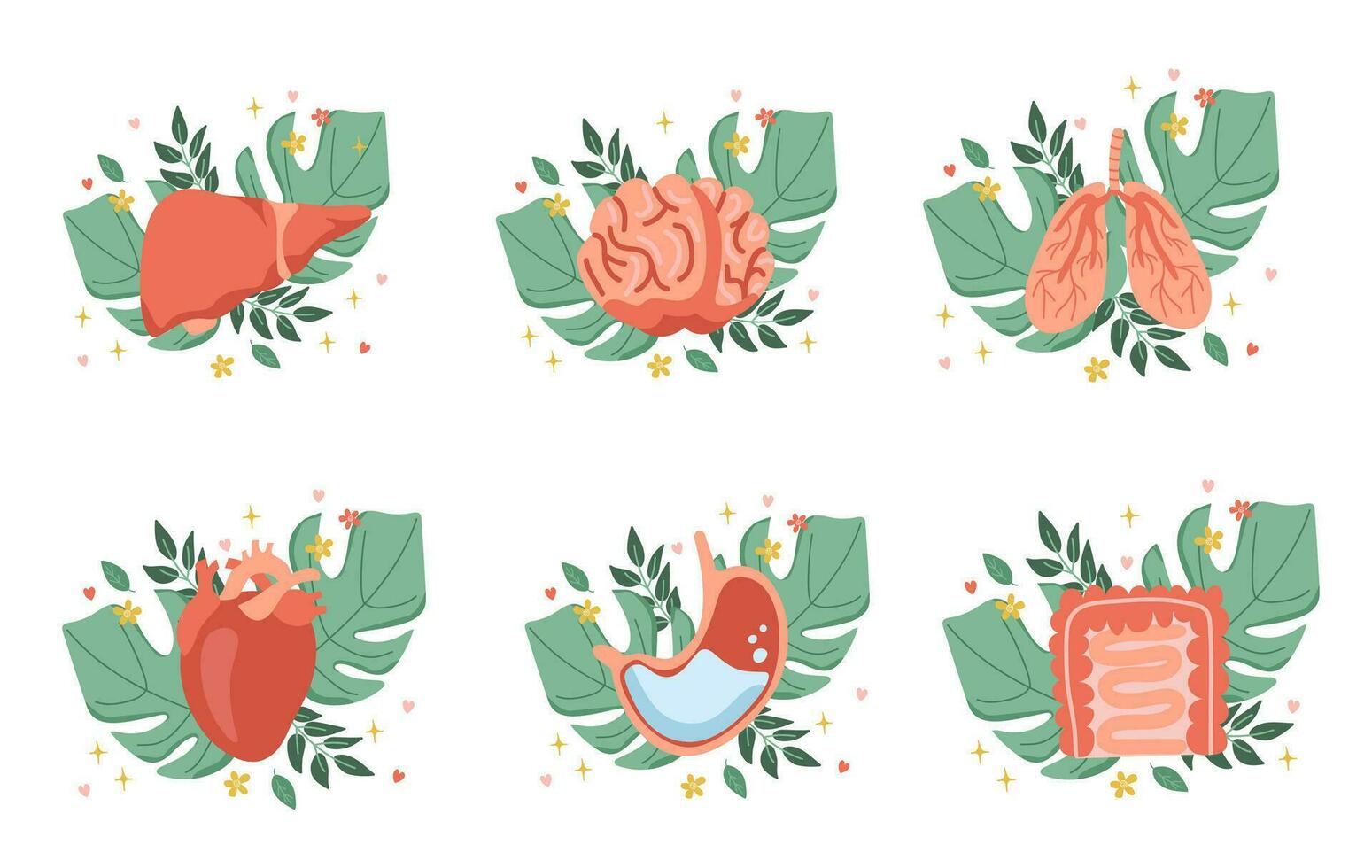 Human organs, kidneys, heart, lungs, liver, brain. Compositions on the background of leaves. Vector illustration