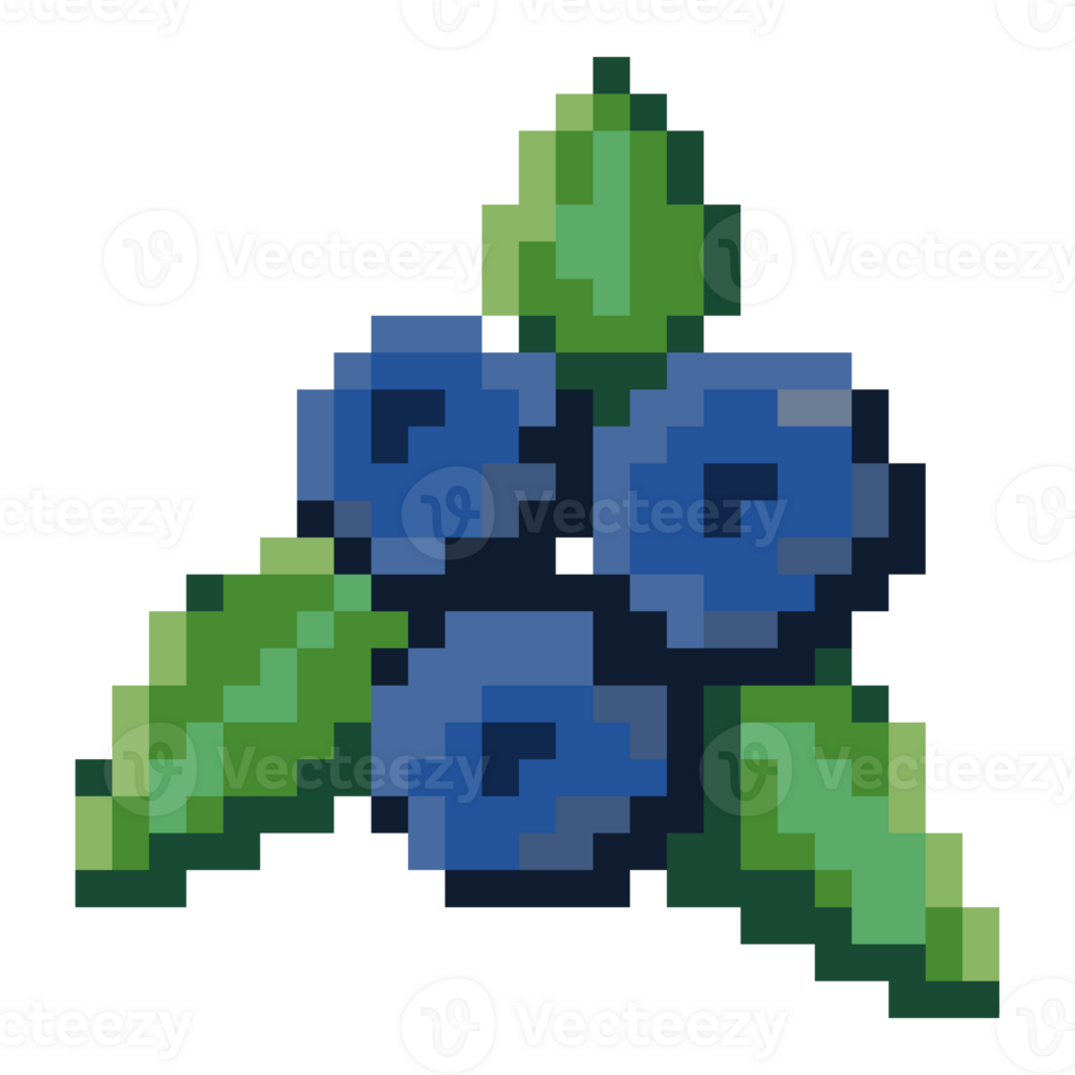 Blueberry Pixel Art png