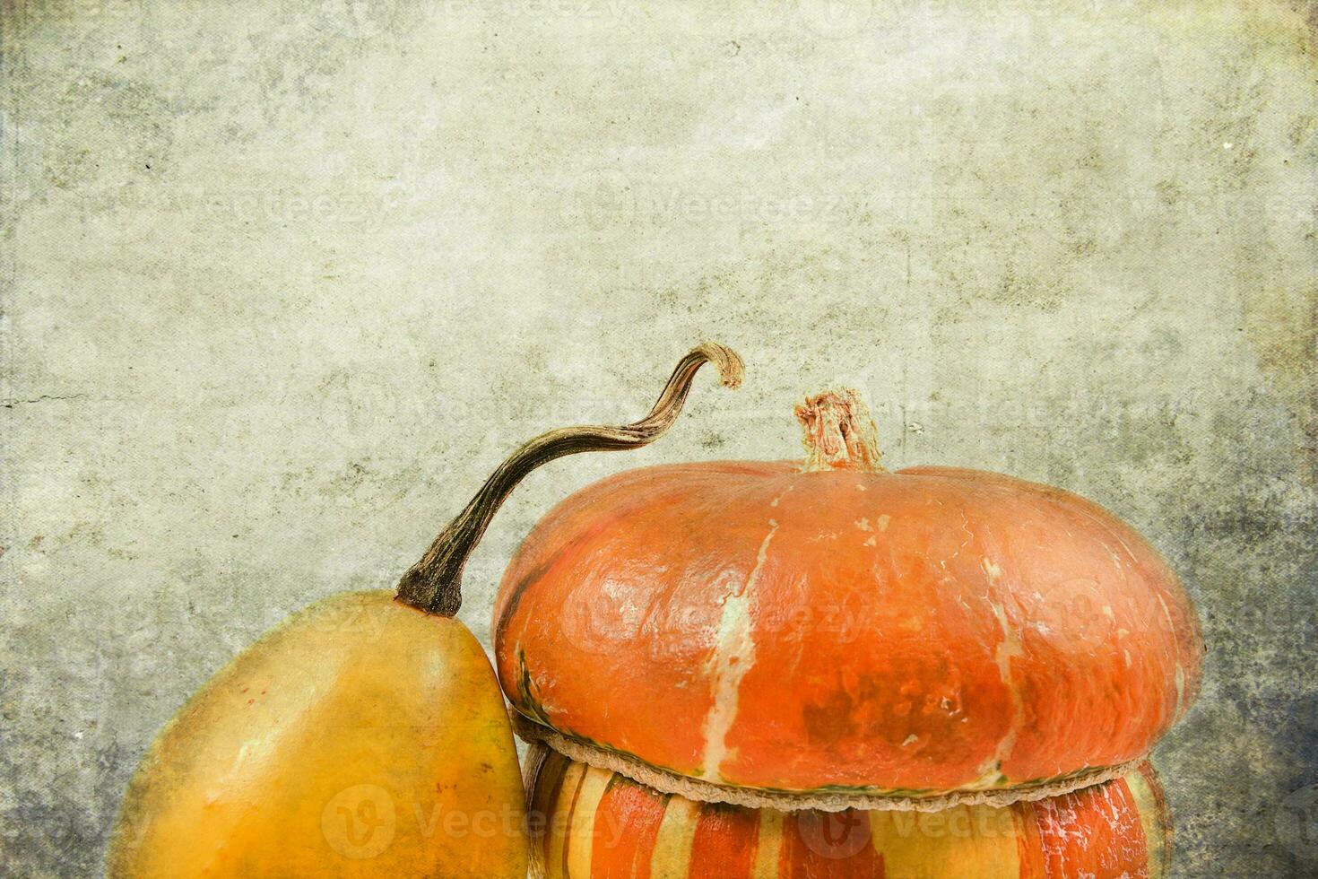 decorative small autumn pumpkins on the original background photo