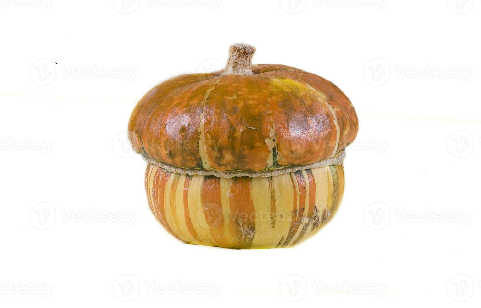 decorative small autumn pumpkins on a white isolated background photo