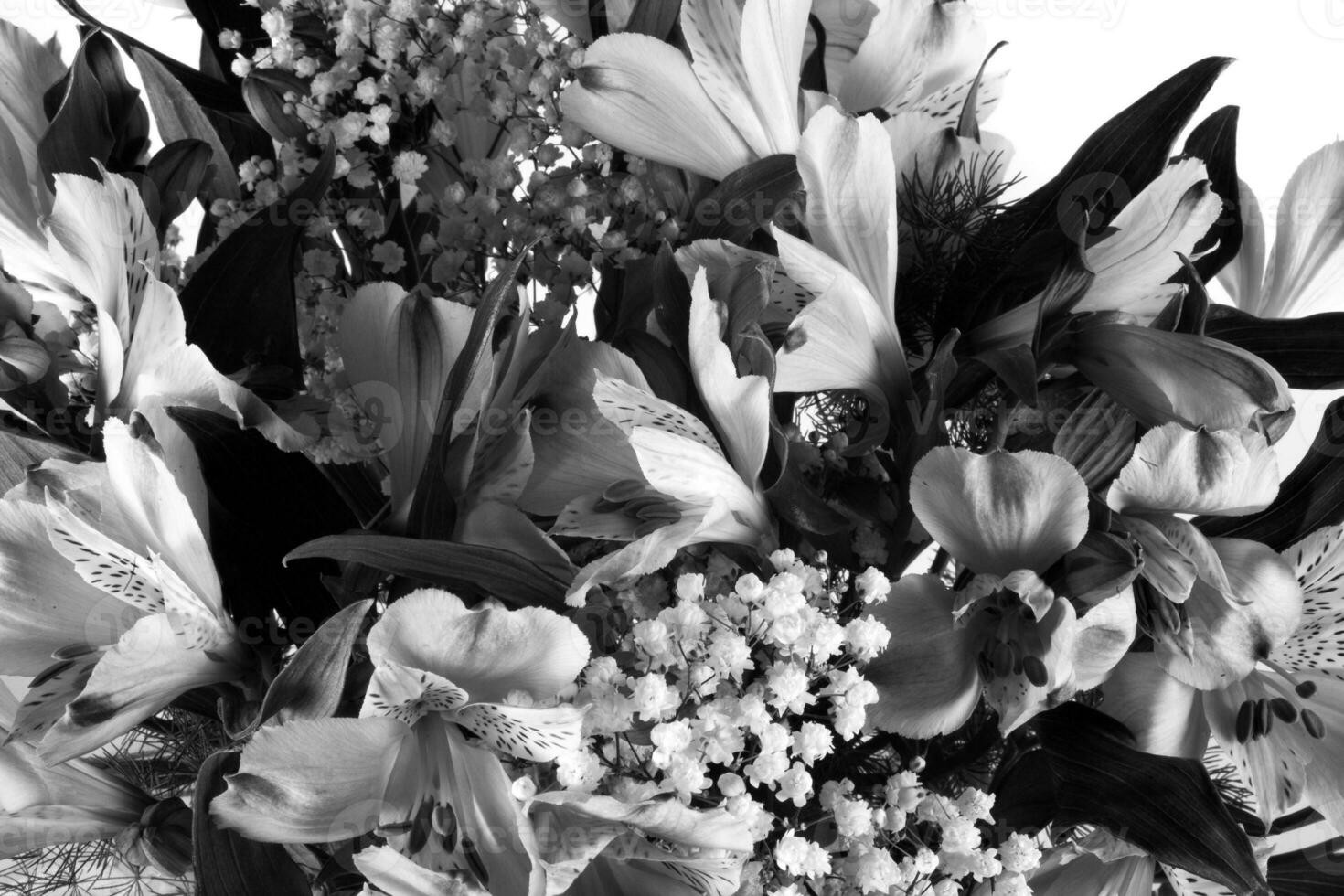 bouquet of purple small flowers in vase isolated on white photo