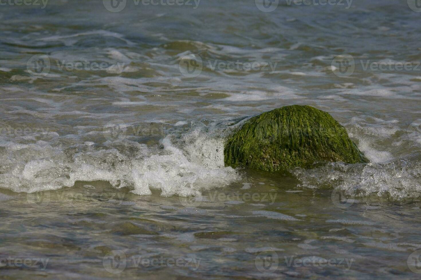 playa paisaje con un roca descuidado con verde algas y olas de el mar en el antecedentes foto