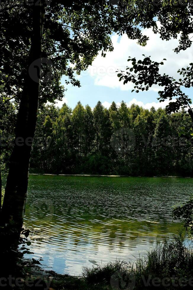 verano idílico paisaje con un lago debajo un azul cielo en un calentar soleado día foto