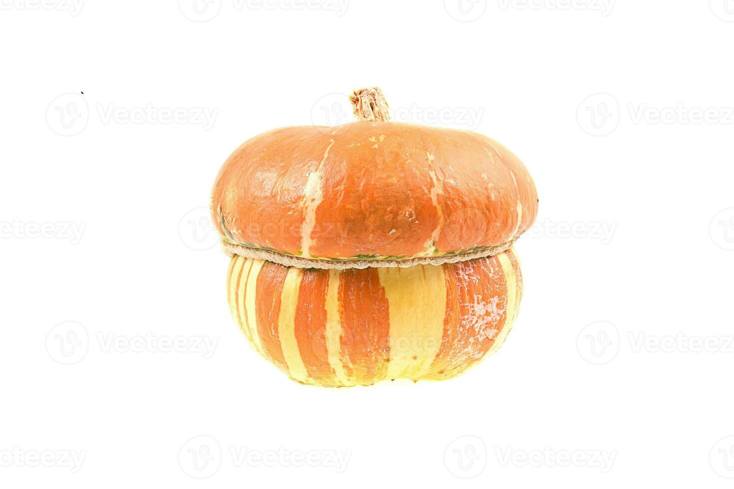 decorative small autumn pumpkins on a white isolated background photo