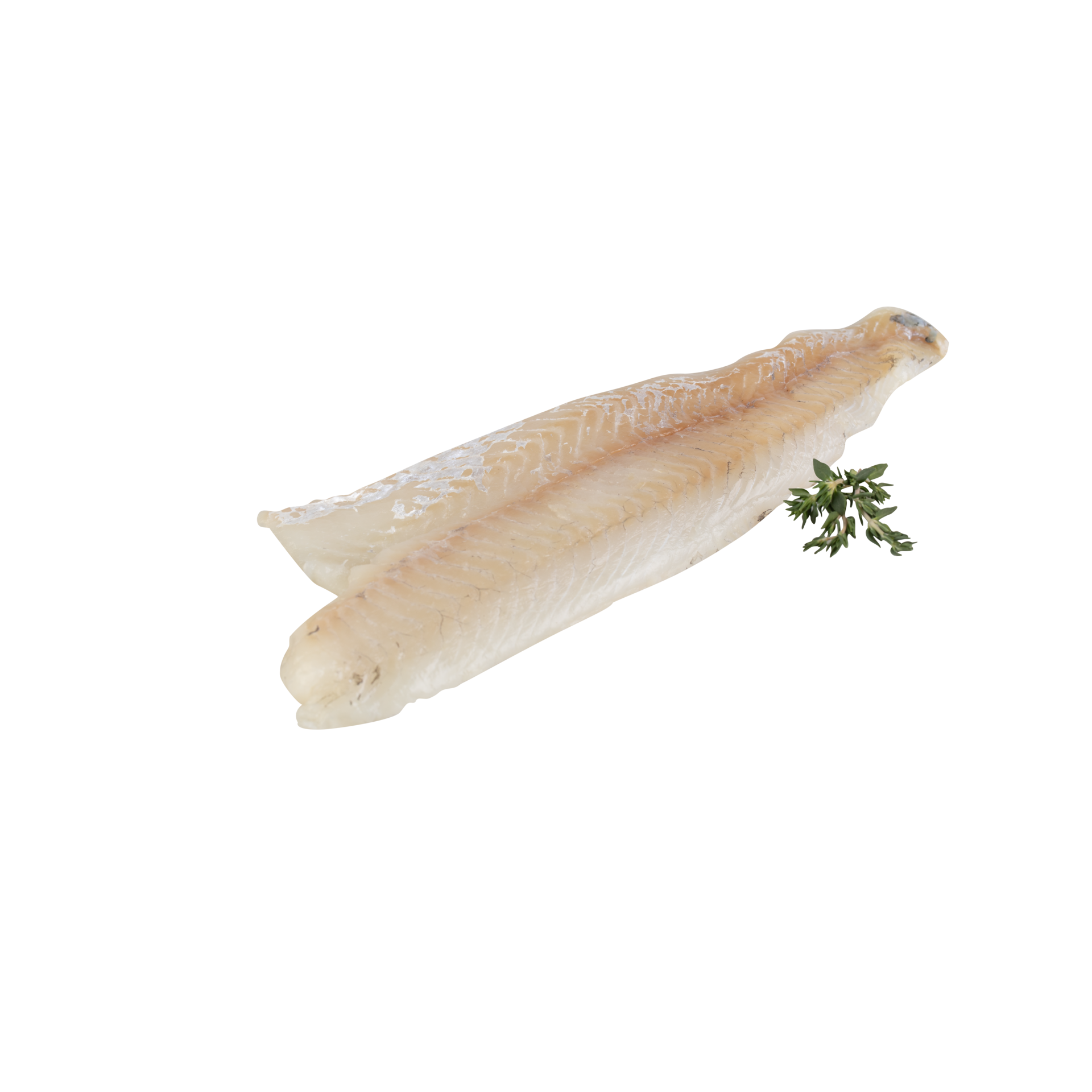fresh sea bass fillet cut out isolated transparent background 28049935 PNG