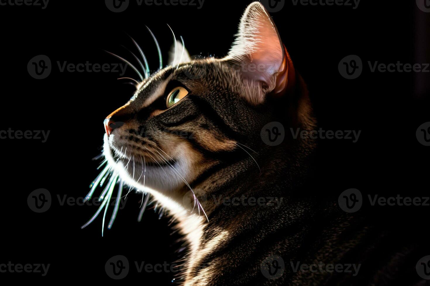 a cat is looking up into the sky in the dark generative AI photo