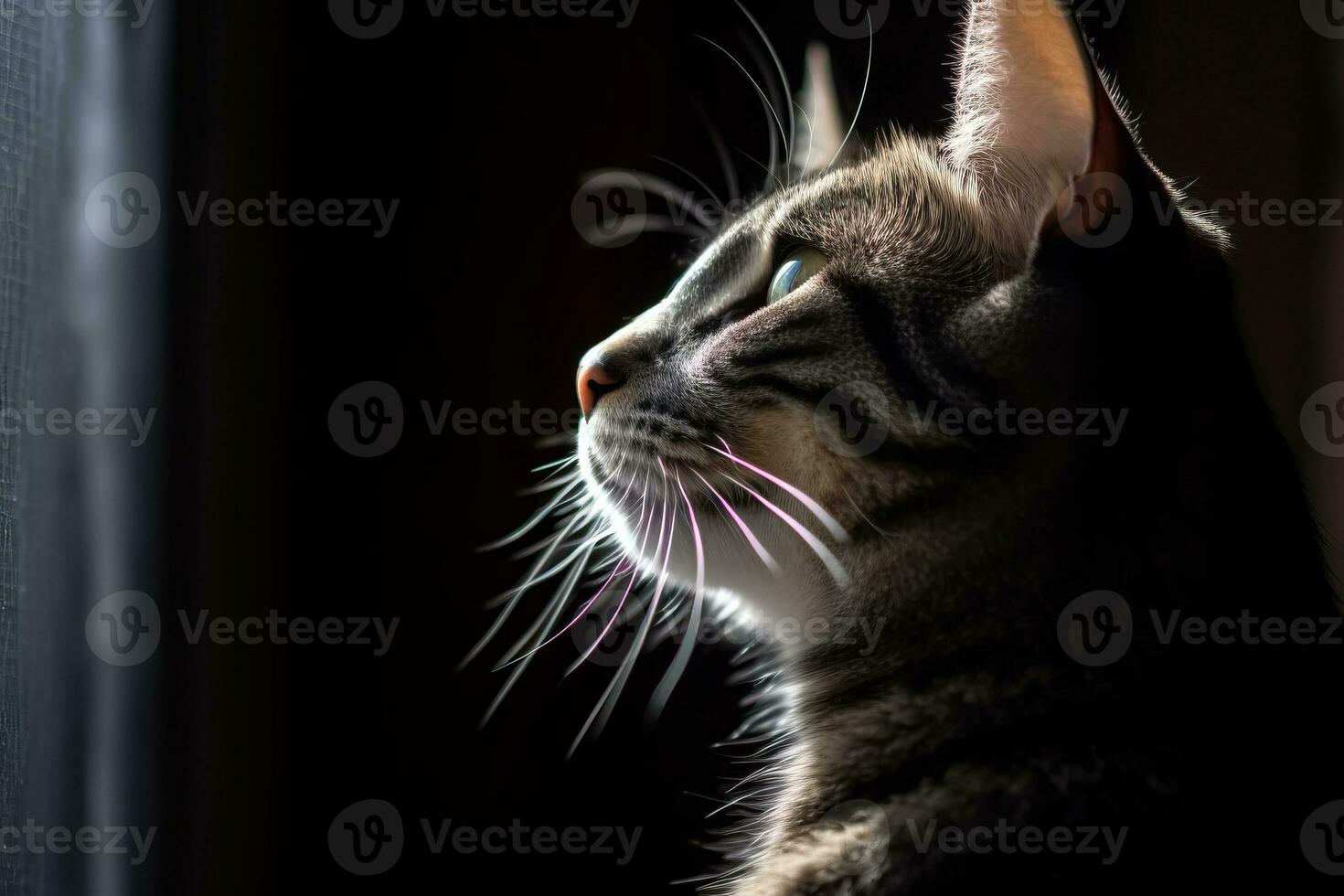 a cat is looking out the window in the dark generative AI photo