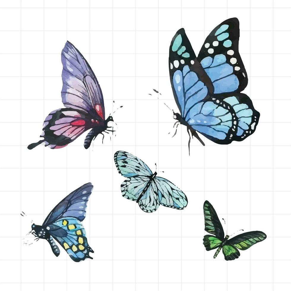 watercolor butterfly set, vector illustration