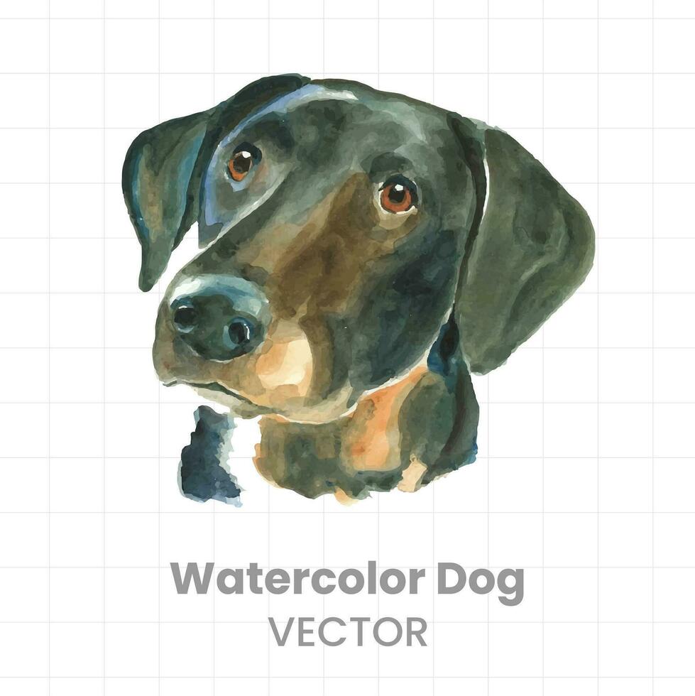 watercolor dog vector illustration