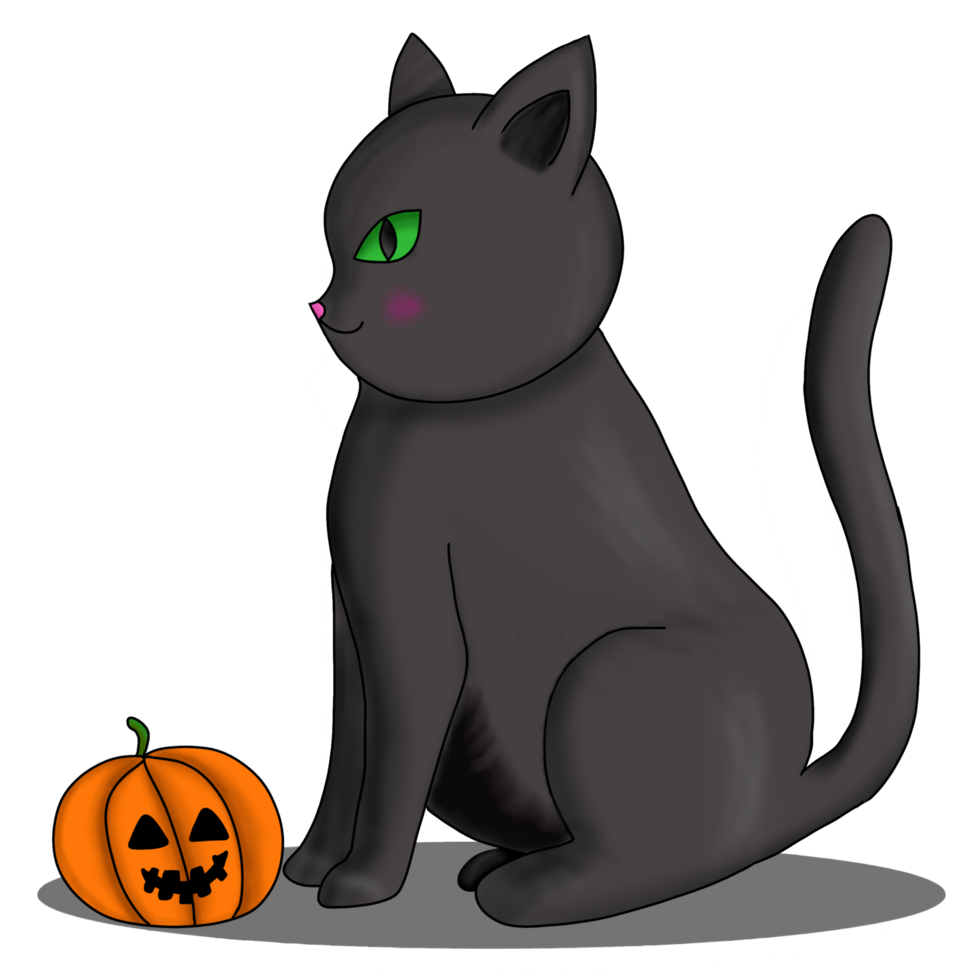 cute cat and pumpkin png