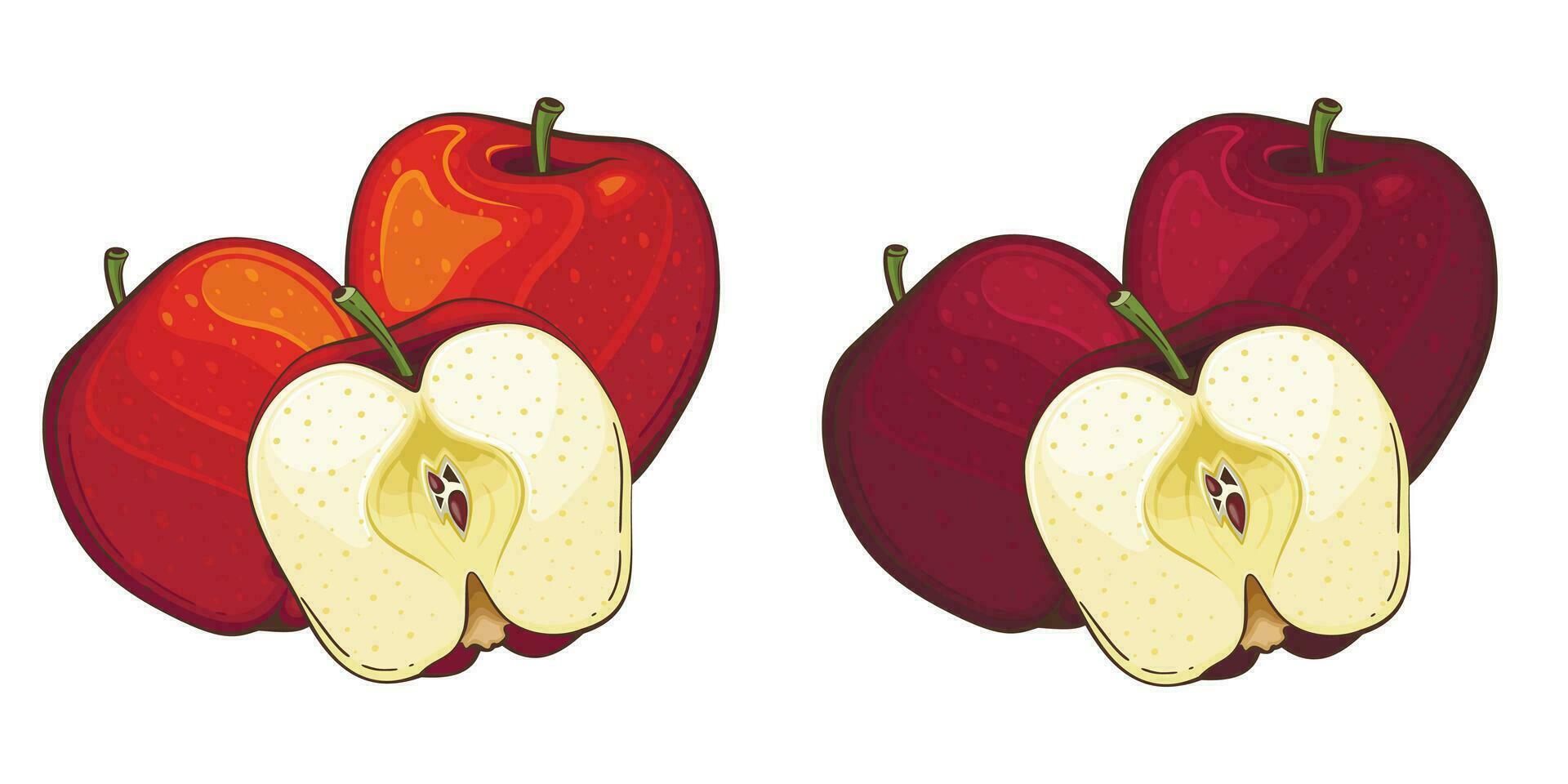 Apple isolated vector illustration. Fruits colorful illustrations isolated on white background.  Fruit collection.