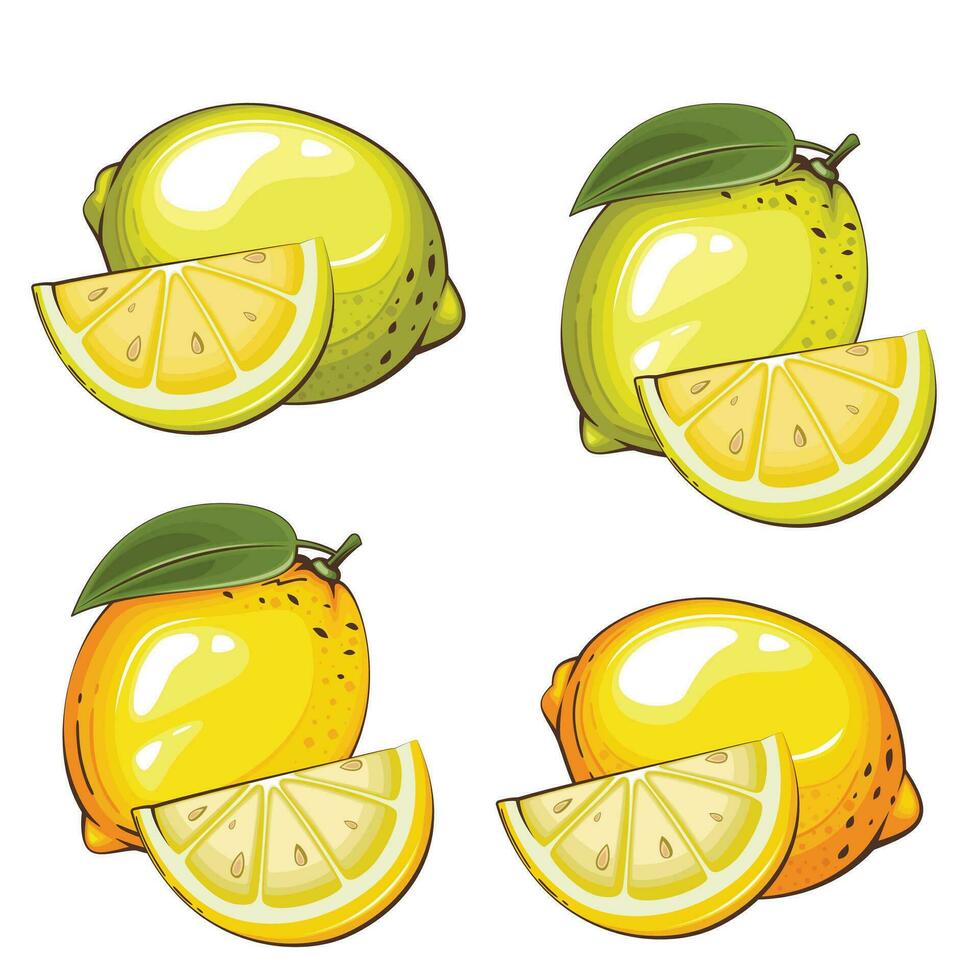 Lemons isolated vector illustration. Fruits colorful illustrations isolated on white background.  Fruit collection.
