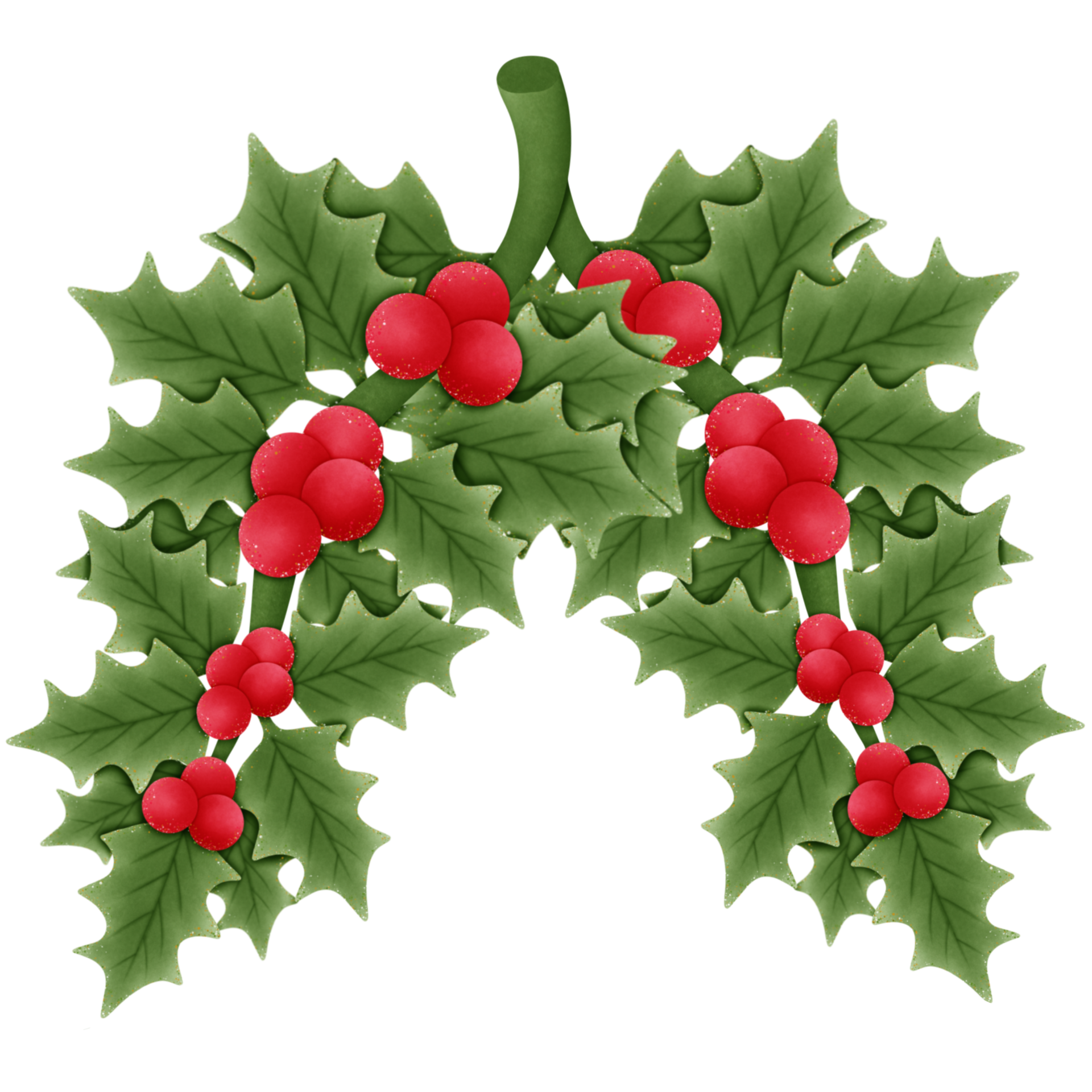 christmas holly branch with red berries and green leaves isolated on  transparent background 28050699 PNG