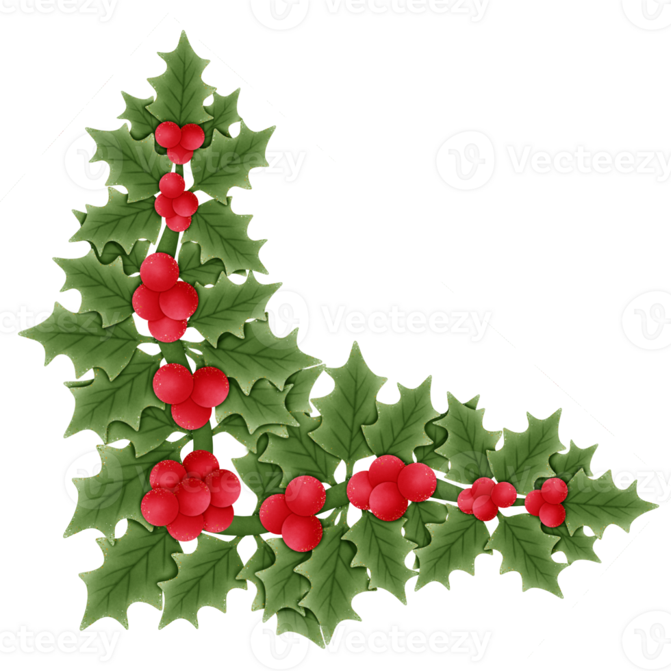 christmas holly branch with red berries and green leaves isolated