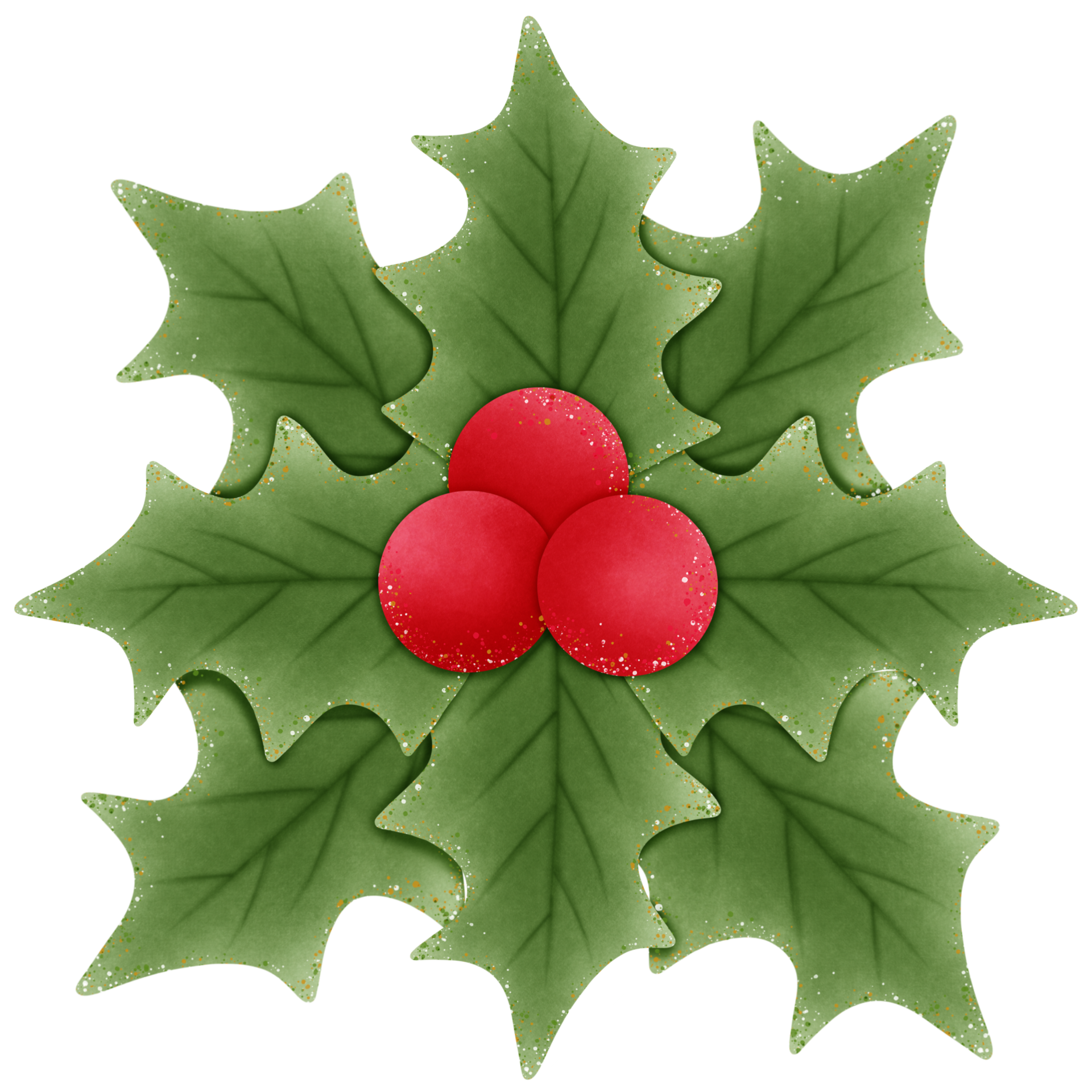 christmas holly branch with red berries and green leaves isolated on  transparent background 28050699 PNG