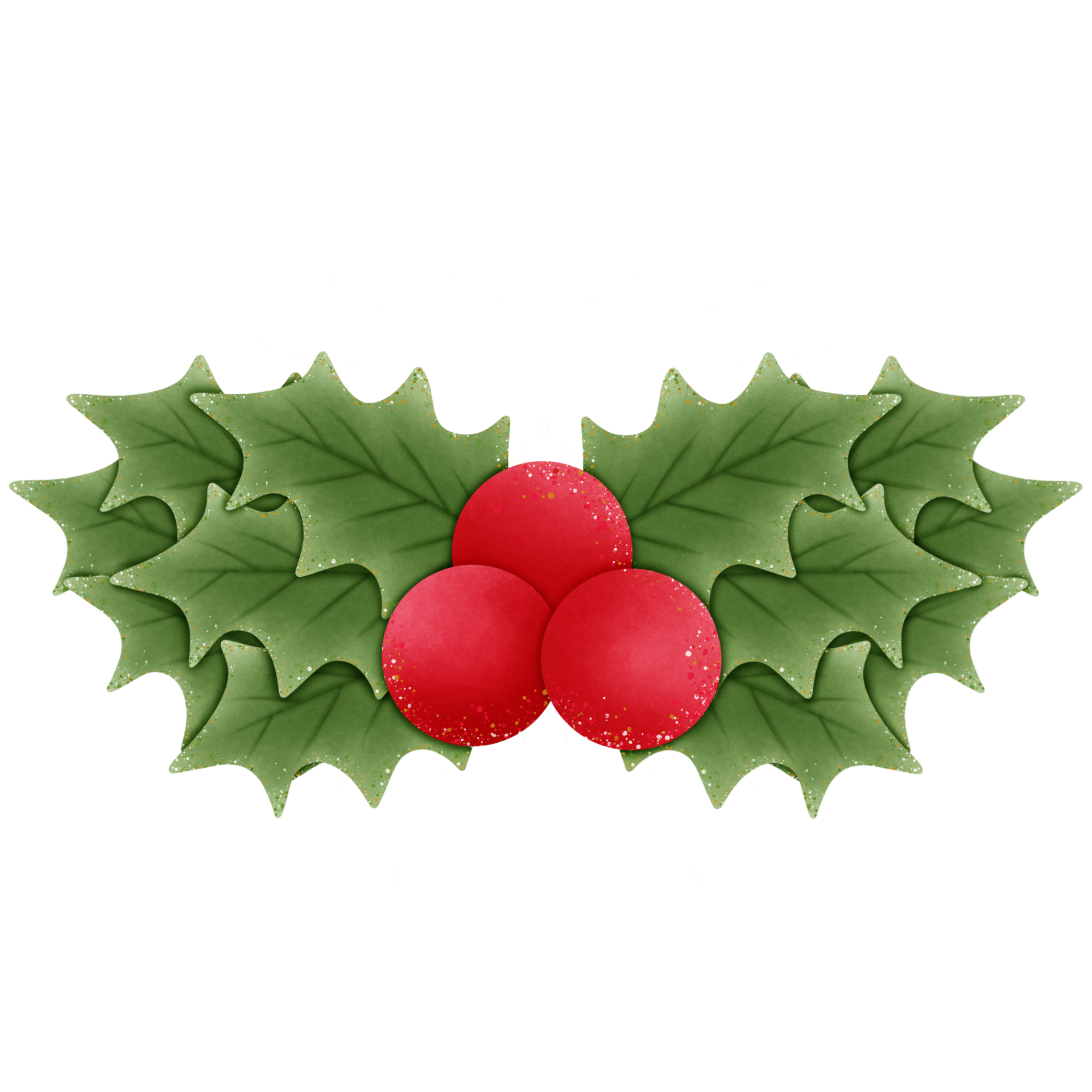 christmas holly branch with red berries and green leaves isolated on  transparent background 28050699 PNG