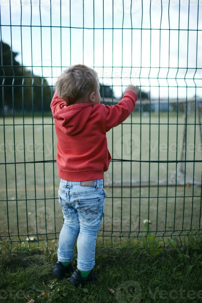 Little boy peering through a wire fence photo